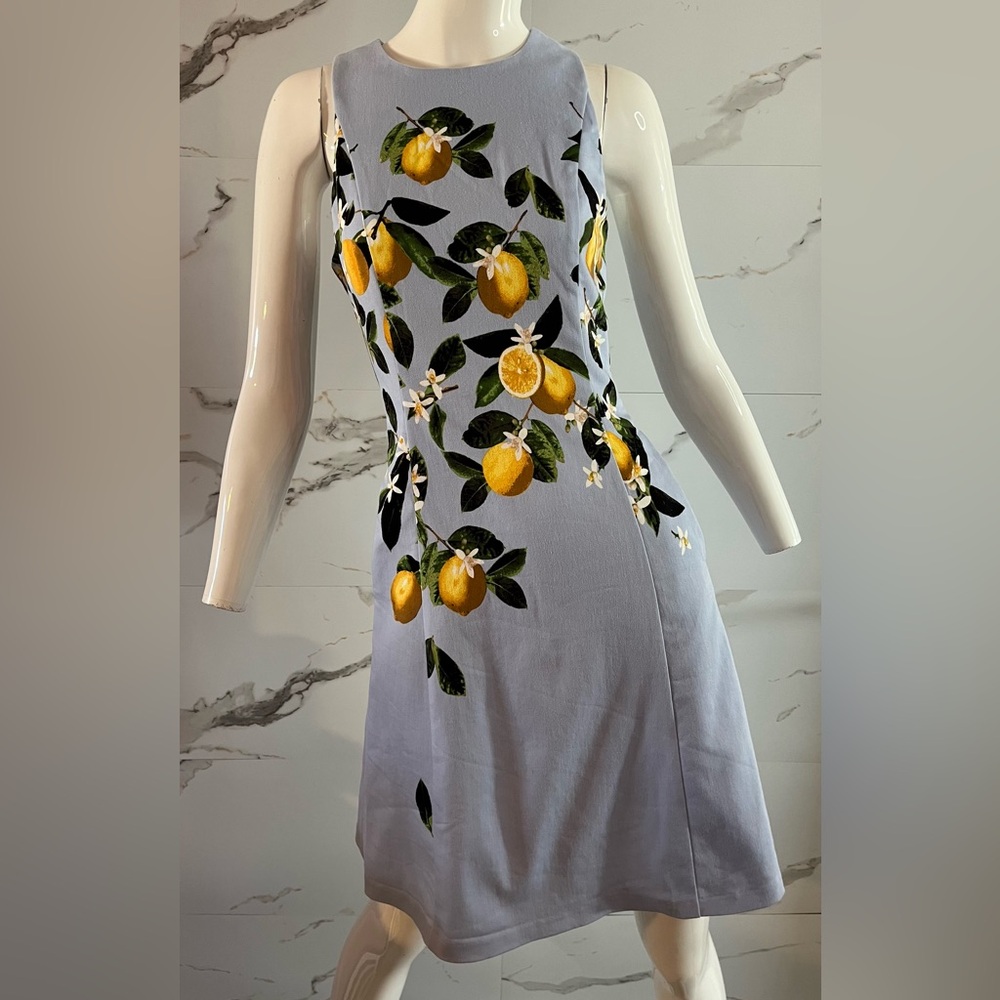 Melanie Lyne Blue & Yellow Lemon-Print Cotton Blend Midi Dress Pockets Size 6
